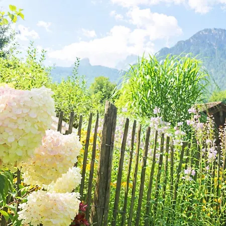公寓 Am Koenigssee Altes-tradenlehen Schönau am Königssee