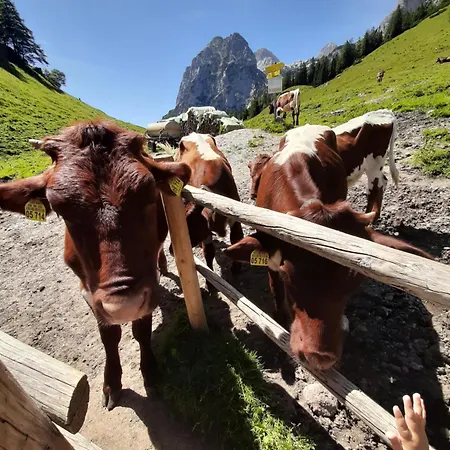 公寓 Am Koenigssee Altes-tradenlehen *
