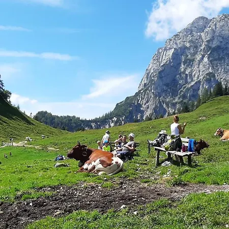 Am Koenigssee Altes-tradenlehen شقة *