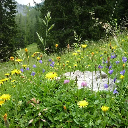 Am Koenigssee Altes-tradenlehen شقة *
